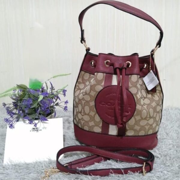 Bolso Coach