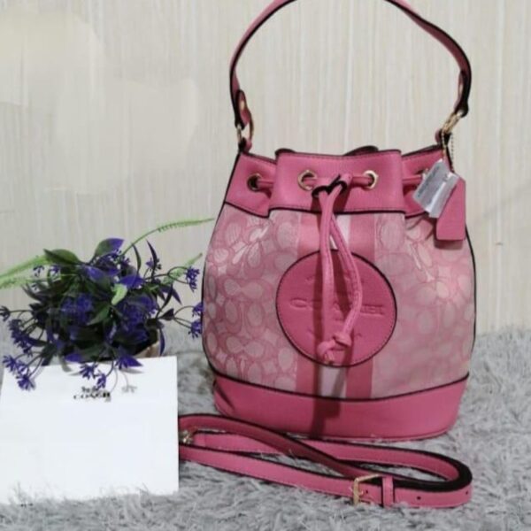 Bolso Coach